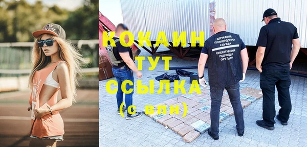 мяу мяу мука Покачи