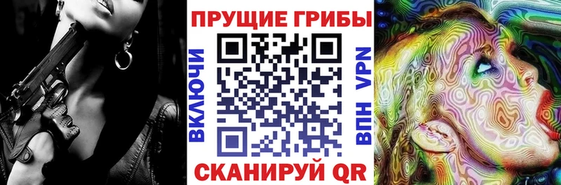 Галлюциногенные грибы мицелий  KRAKEN зеркало  Новоуральск 